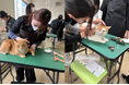 「猫が好き」を仕事に。国際アート＆デザイン大学校「キャットグルーマーコース」犬だけじゃない！猫も美しくする時代へ