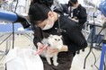 「猫を学ぶところから始めた先生たち」と「初めて猫を学んだ学生たち」一緒に積み重ねた挑戦開設初年度のキャットグルーマーコース全員が「キャットグルーマーライセンスC級」に合格