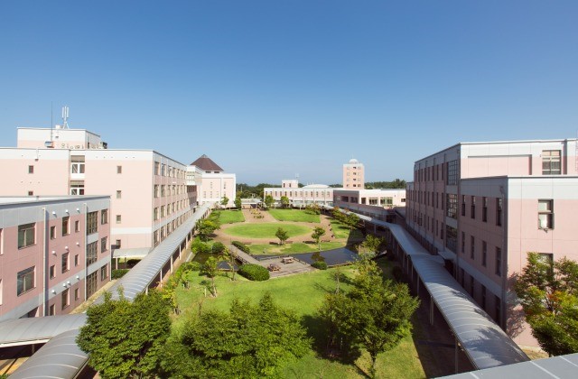 新潟医療福祉大学 月経周期が女性の運動学習能力を変化させることを発見 ｎｓｇグループのプレスリリース