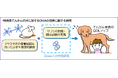 動物医療のイノベーションリーダーZpeer（ズピア）、東京大学と「犬の特発性てんかん」に関する共同研究契約を締結