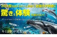 没入体験アトラクション「ドームプラネット」最新作「ハワイ-幸運のウミガメと沈没船-」を3月15日から開催!!
