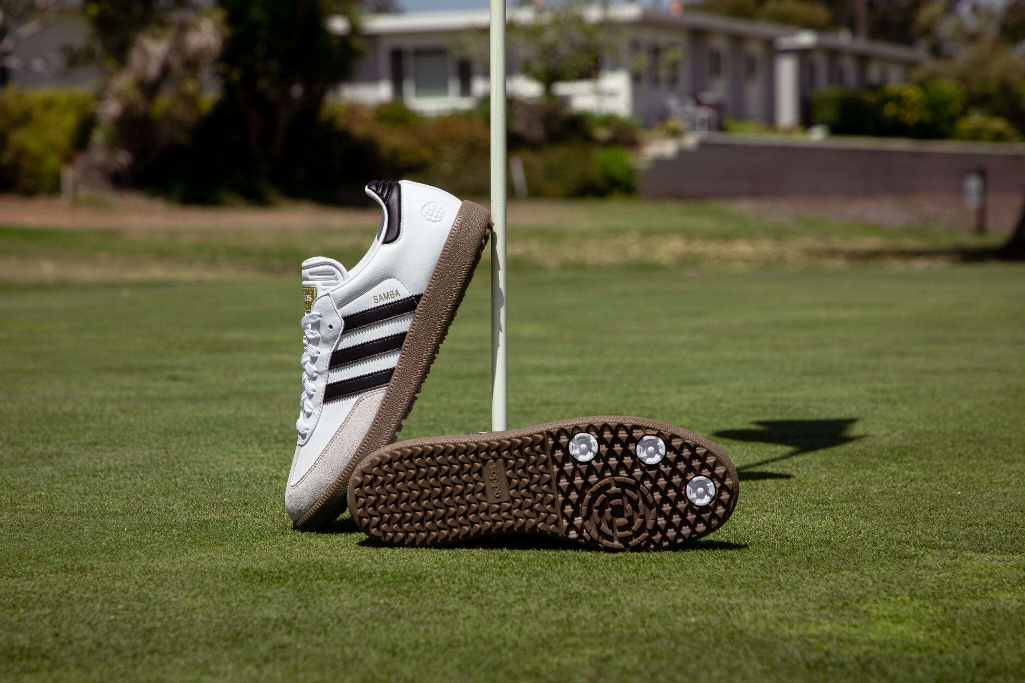 addidas Golfシューズ SAMB GOLF 26cm - シューズ(男性用)