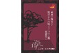 東洋学園大学「第33回フェニックス祭―郷郷祭り―」開催 初の地域連携「大横丁通りこども縁日」と同日開催で地域交流を深化 日程:2025年10月11日(土)・12日(日)