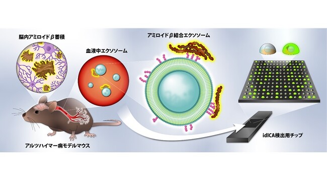 アルツハイマー病モデルマウス血液中アミロイドβ結合エクソソームのデジタル計測のイメージ図 アルツハイマー病モデルマウス血液中アミロイドβ結合エクソソームのデジタル計測のイメージ図