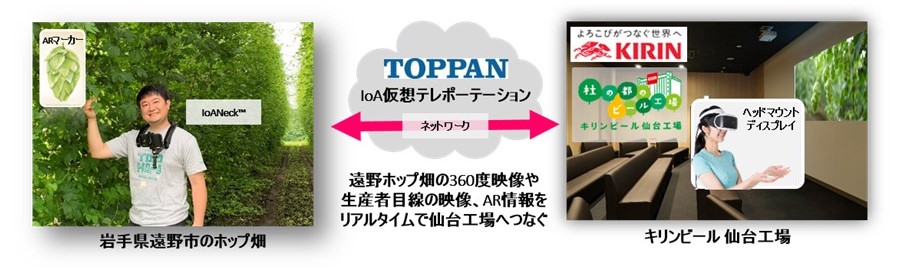 IoA技術で、ビール工場からホップ生産地を遠隔体験　キリンビール仙台工場にて、10名様限定でツアーを開催！