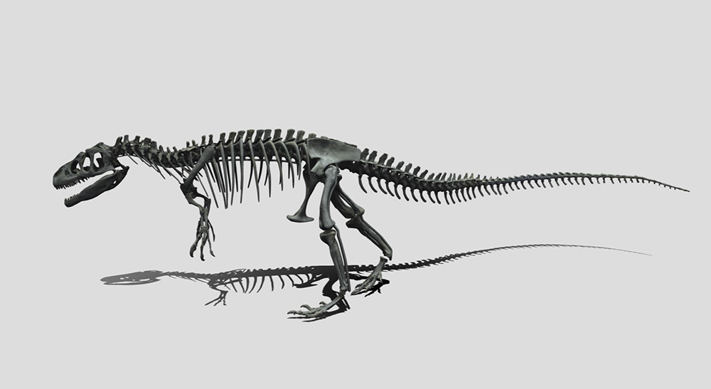 国立科学博物館と凸版印刷 Vrコンテンツとオンライン講座で新たな恐竜体験 凸版印刷株式会社のプレスリリース