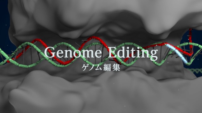 ゲノム編集支援オープンプラットフォーム「Genome Editing Cloud™」のイメージ図