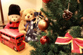 「東京プリンスホテル」×「Hamleys(ハムリーズ)」 クリスマスはやっぱり「おもちゃいっぱい！笑顔いっぱい！」コラボレーション宿泊プランを販売