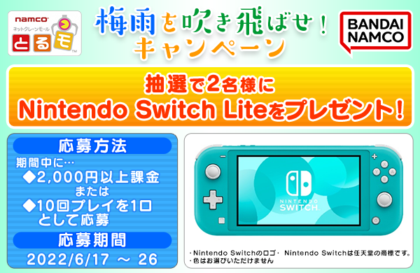 Nintendo switch lite  申請あり