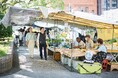 【OMO7高知 by 星野リゾート】エネルギッシュな高知のハチキンに出会える!「ちっくと食べやぁ、グルメな木曜市ツアー」を実施|期間:2024年11月7日~毎週木曜日(通年)