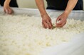 【界 玉造】手業のひととき「蔵元が伝える酒造りの世界と日本酒の美味しい飲み方」|期間:2025年2月1日~3月31日