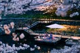 【界 長門】春の訪れを告げる音信川のせせらぎと桜を愛でる「春らんまん滞在」販売