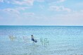【リゾナーレ小浜島】碧い海の絶景を眺めながら、海上のカウンター席で乾杯する「絶景海上ビアガーデン」開催