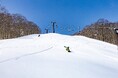 【ネコマ マウンテン】山頂積雪は約250cm!過去5年間で最高の積雪量を記録し、5月6日までのスキー場営業が確実になりました。