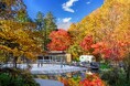 【軽井沢星野エリア】紅葉に包まれる森のスケート場「ケラ池スケートリンク」、日本一早く10月17日(金)オープン!