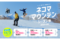 【ネコマ マウンテン】シーズン長すぎ!特典多すぎ!ネコマ マウンテン25-26シーズン券が10月1日より販売開始!