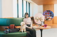 【OMO5東京五反田】愛犬とスイーツやフォトスポットでの撮影を楽しむ「バレンタインドッグラウンジ」初登場