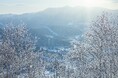 【トマム】氷点下の朝、気象条件が織りなす白銀の絶景に出会う。「霧氷テラス」2026年12月1日営業開始