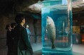 【OMO7旭川】「旅は魔法」を地域と共に。旭山動物園で行う新入社員研修を通して、街の魅力を本質的に理解し、旅人を繋ぐ架け橋へ