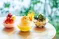 【OMO7高知】生姜・山椒・大葉がひんやりスイーツに！？高知が誇る3種の薬味を驚きの組み合わせで楽しむ。こじゃんと涼む「土佐和ハーブかき氷」新登場