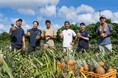 【西表島ホテル】構想から約4年、島内の資源循環を目指す「環パインプロジェクト」が初のサイクルを実現！