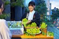 【OMO5熊本】熊本市と連携し、被災した物産館の宇城市産シャインマスカットの販売と宿泊者への提供を開始