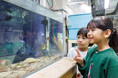 【リゾナーレ下関】ふぐの展示種数世界一の「海響館」とコラボレーションした宿泊者限定のアクティビティ「海響館の裏側潜入ツアー」の提供開始