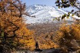 【星のや富士】富士山の秋の絶景を楽しむ「富士紅葉トレッキング」を開催｜期間：2024年10月25日～11月30日