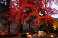 【星のや京都】紅葉の特等席で秋を1日中愛でる滞在プログラム「奥嵐山の錦秋（きんしゅう）滞在」今年も開催｜期間:2024年11月10日〜12月10日