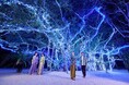 【リゾナーレ小浜島】煌めくイルミネーションの下で、幸福感に包まれる「ガジュマルクリスマス」開催|2024年12月1日~25日