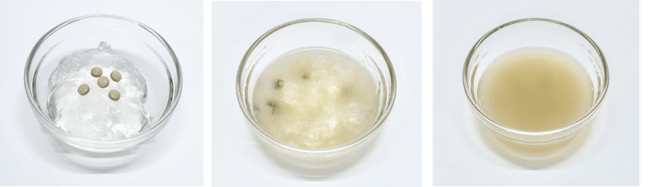 片栗粉を使用した糖質分解実験