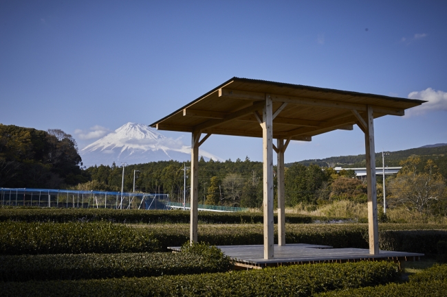 富士山まる茂茶園　～富士の茶の間～