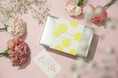 母の日にもおすすめの爽やかな新商品も登場!ダンデライオン・チョコレート「Mother's Day Collection 2025」