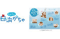 白浜の魅力をカプセルに詰めて！中学生制作の「白浜がちゃ」、8月10日販売開始 産学官が連携した地域コミュニティ「白浜コネクトプロジェクト」、第1弾のご当地がちゃが完成