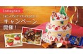 【ロイズ】ポテトチップチョコレートの限定パッケージが新登場！本日より、年末年始のプレゼントにおすすめのニューイヤーデザイン商品を4種類販売開始。