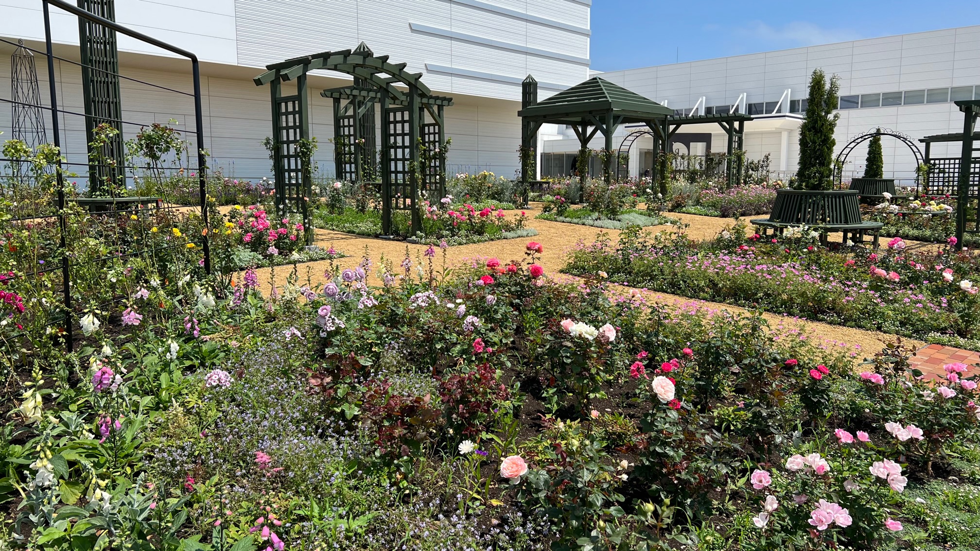 【ロイズ】「ロイズ ローズガーデンふと美」が完成（入園無料）。お買い物とあわせて優雅なお庭をお楽しみください。｜株式会社ロイズコンフェクトの