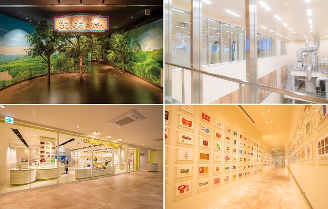 ロイズカカオ&チョコレートタウン ロイズカカオ&チョコレートタウン