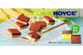 【ロイズ】生チョコレート[チョコバナナ]など、定番商品の春限定フレーバーを3月18日に発売。