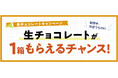 【ロイズ通信販売限定】＼併用可能／条件達成で生チョコレートが1箱もらえる＆送料無料のチャンス！お得な夏の2大キャンペーン開催中♪