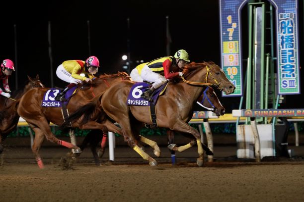 船橋競馬 第10回開催〔1月11日(祝月)~15日(金)〕「第65回 船橋記念(SⅢ)」〔1月13日(水)〕|千葉県競馬組合のプレスリリース 船橋競馬 本橋孝太