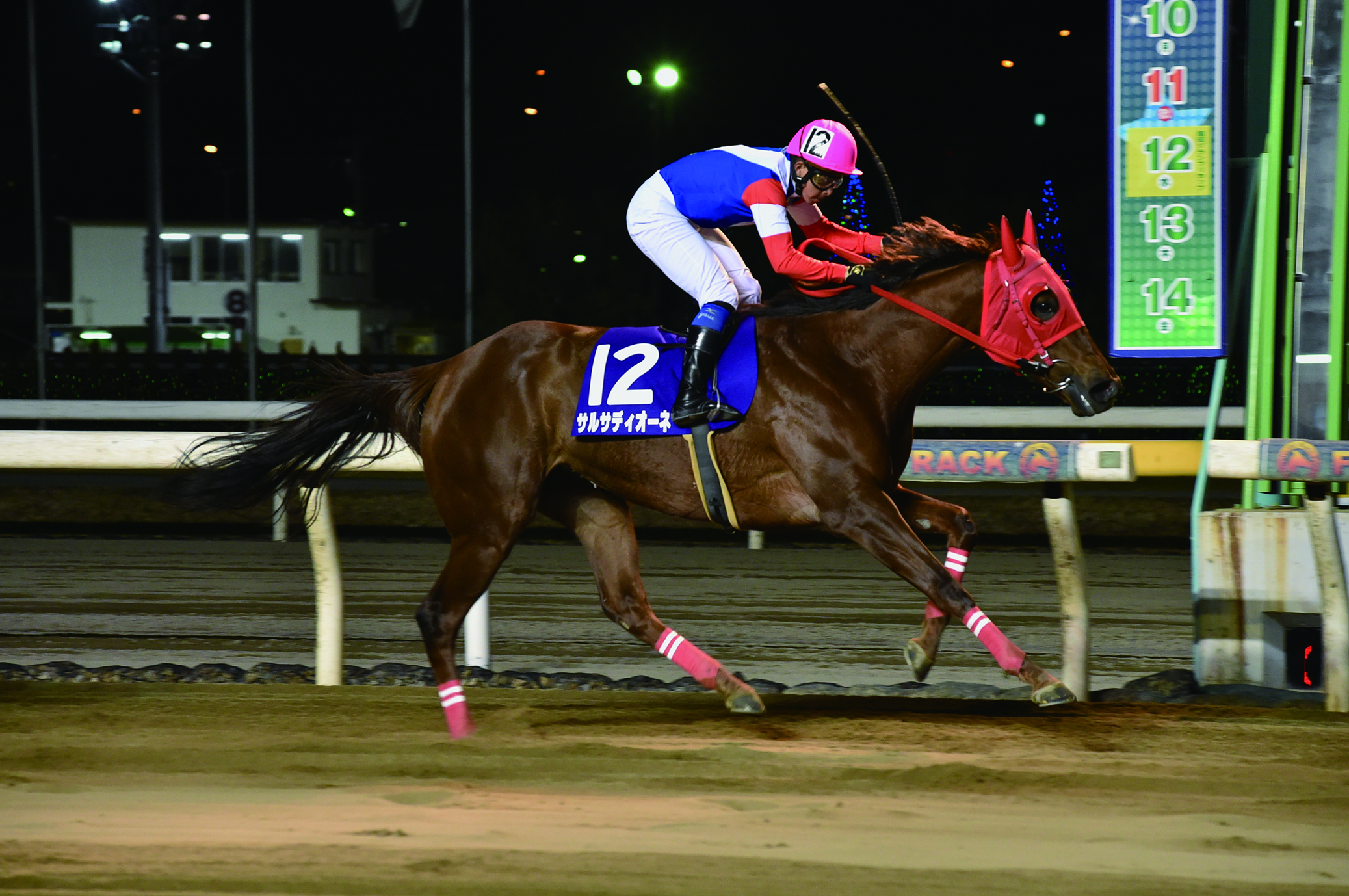 ライブ 名古屋 競馬