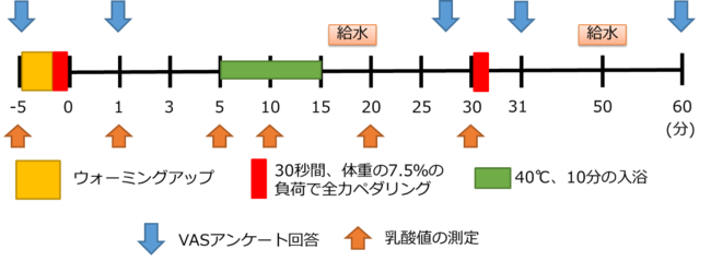 図１．コンディショニング試験のタイムスケジュール