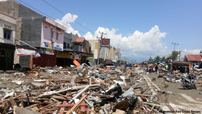 学校や病院を含む多くの建物が地震や津波の被害を受けた