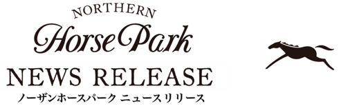 勝馬投票券購入のヒントに おみくじ付きのオリジナル菓子 勝馬煎餅 かちうませんべい 新発売 株式会社ノーザンホースパークのプレスリリース