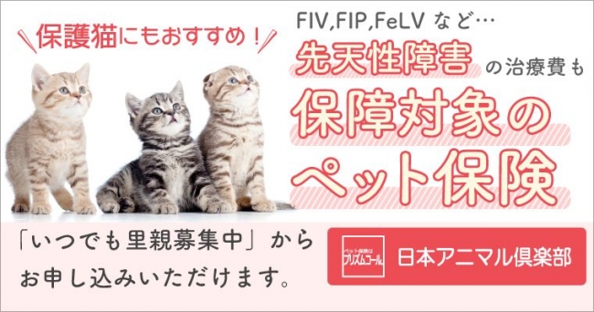 飼い主さんの負担を軽く」 里親募集サイト「いつでも里親募集中」から