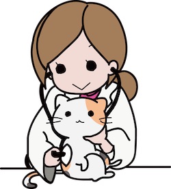 飼い主さんの負担を軽く 里親募集サイト いつでも里親募集中 から ペット保険の申し込みが可能に Npo法人東京キャットガーディアンのプレスリリース