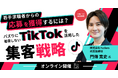 若手求職者からの応募を最大化させるには？バズリにこだわらないTikTok広告活用戦略