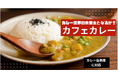プレスセミナー「倒産激増のカレー店に活路はあるか?」が大反響!【緊急でメディア限定で個別相談会を開催】問い合わせが多数のため井上岳久/カレー大學がカフェカレーで乗り切る方法を直々に無料で指南します!
