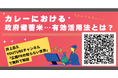 【ファミマが政府備蓄米使用のカレー弁当を発売で問い合わせが多いためカレーで備蓄米の有効活用法をカレー大學で講義決定!】井上岳久のYouTubeチャンネル「令和のコメ騒動に学ぶ!」から学長直々に解説!