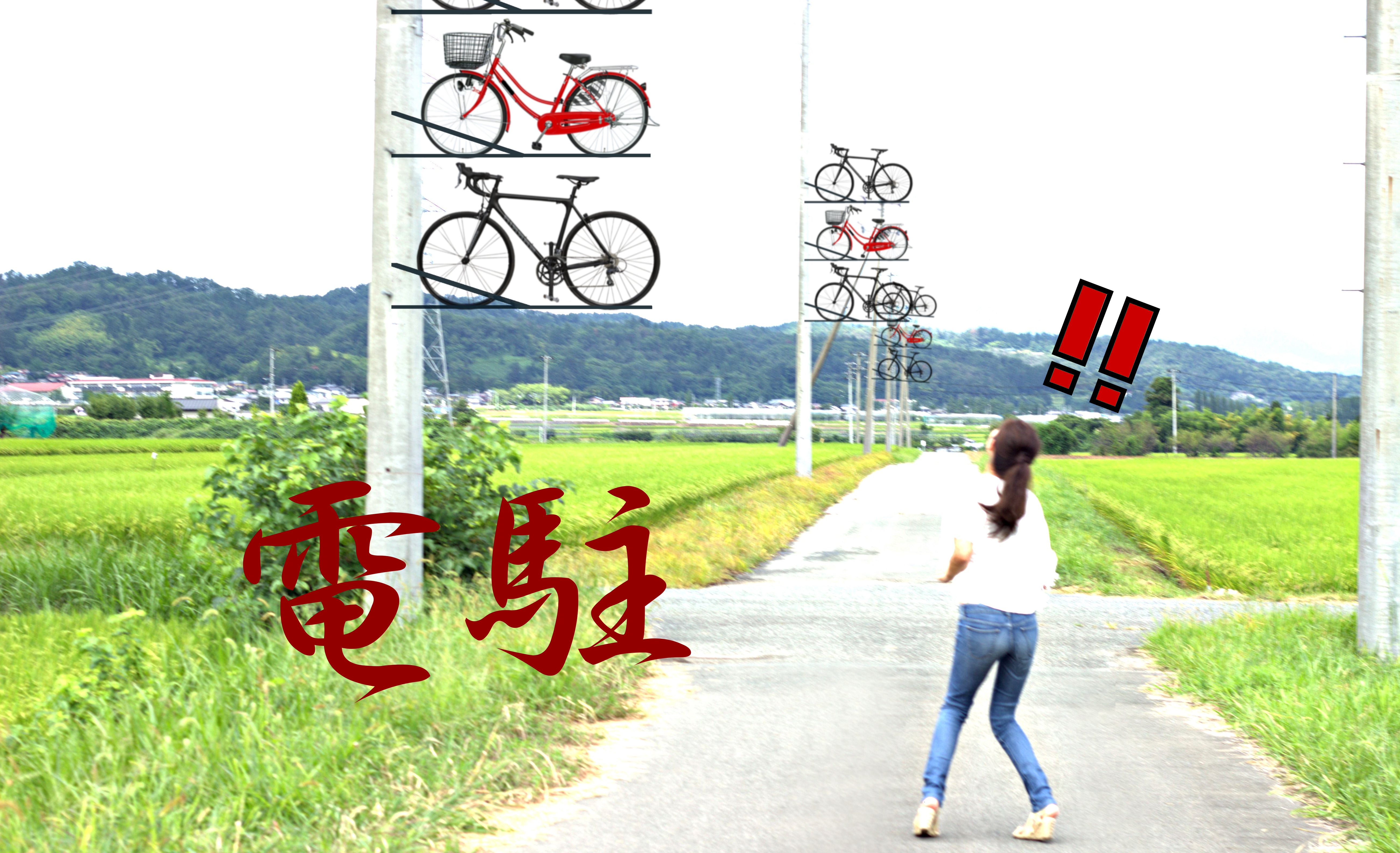人間の習性 自転車 電柱による